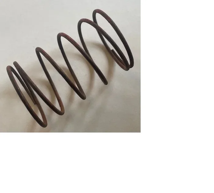 Fuel Pump Diaphragm Spring B-9396