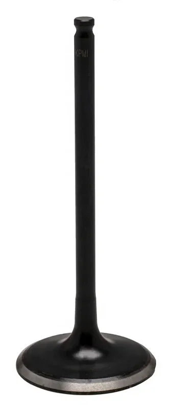 Kpmi 191-13024 60-61516 BLACK DIAMOND EXHAUST VALVE