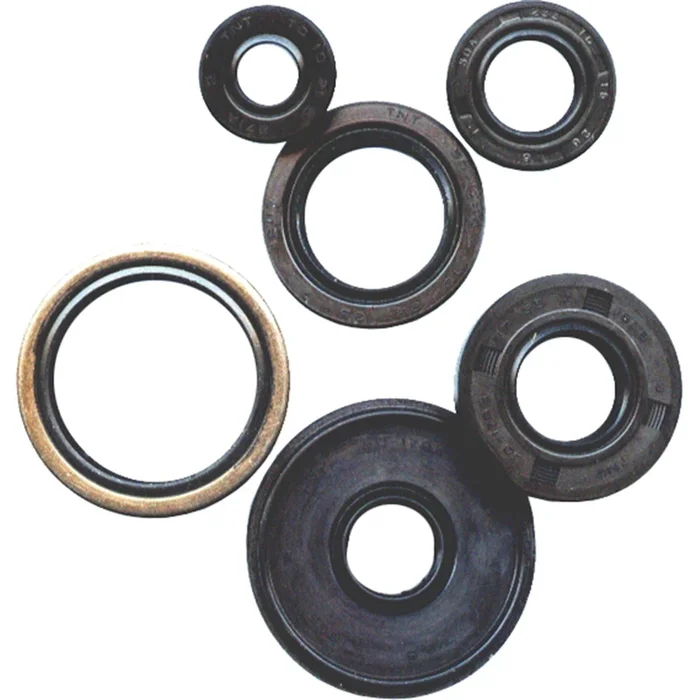 Vertex Oil Seal Set [MPN: 822201]